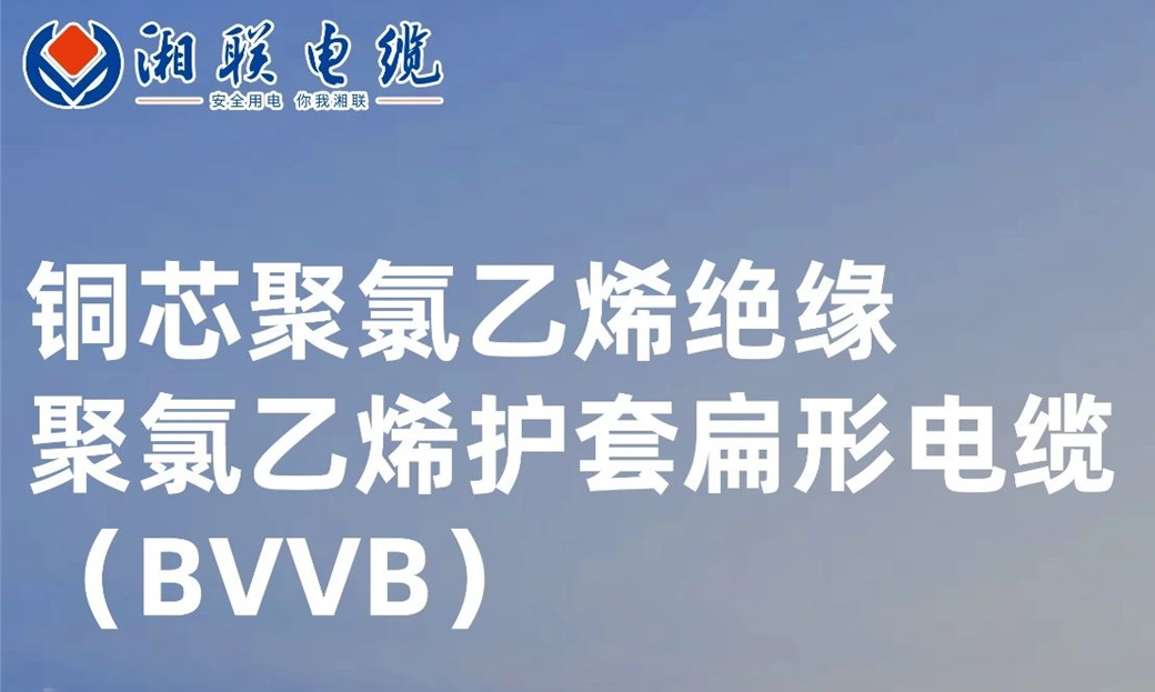 國標認證，品質保障 | 一文解析BVVB（銅芯聚氯乙烯絕緣聚氯乙烯護套扁形電纜）